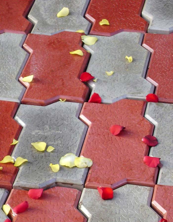 Interlocking Pavers - Zig Zag